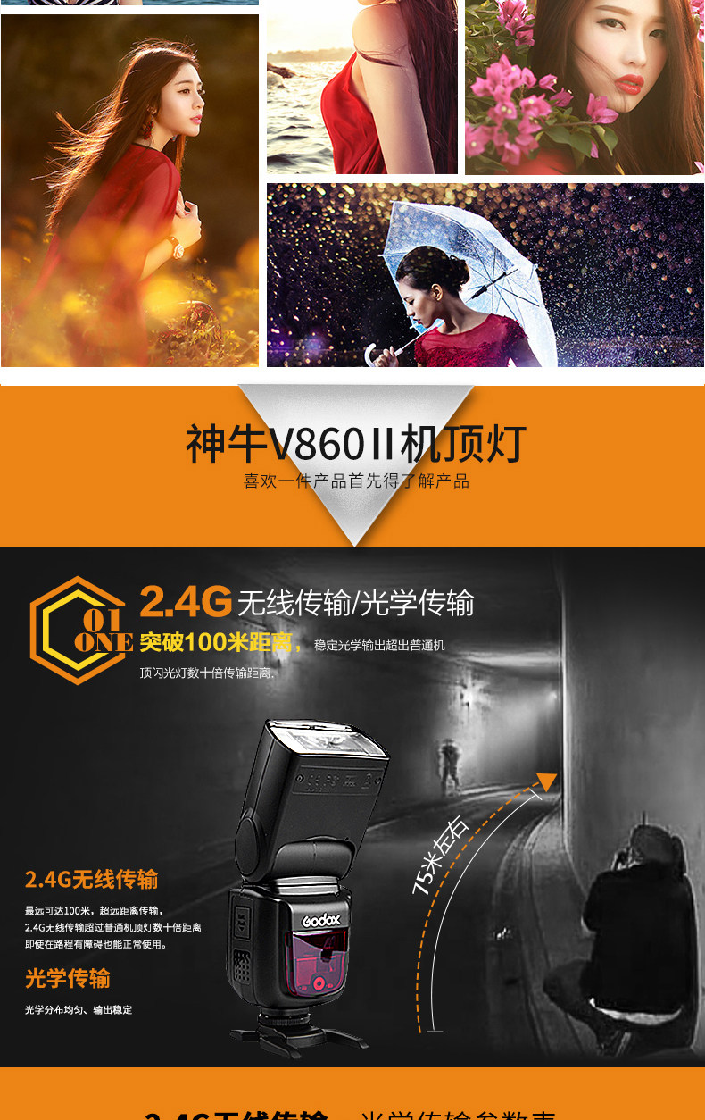 V860II_05.jpg