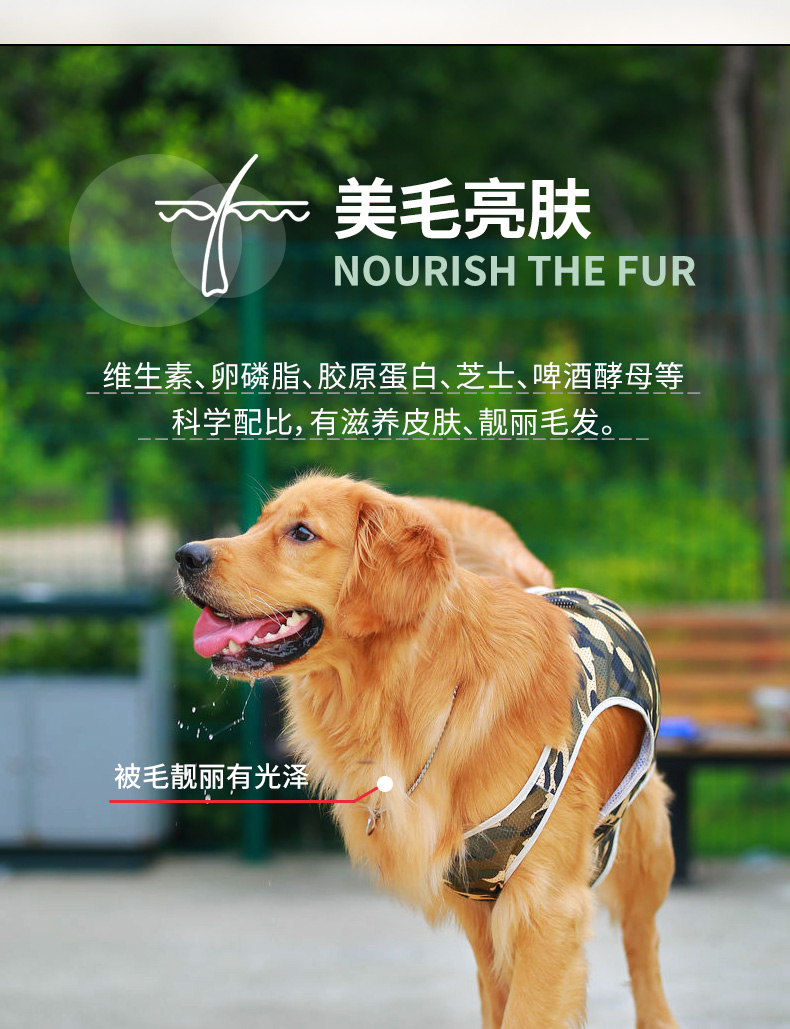 Thức ăn cho chó 40 kg phổ quát 20kg chó con chó trưởng thành Jinmao Samoyed Labrador de chăn thả thức ăn cho chó lớn - Chó Staples thức ăn cho chó cảnh