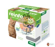 (Meow selection group) Viyo Viyo Belgium kitten probiotics improve immunity] 30ml * 7 bags