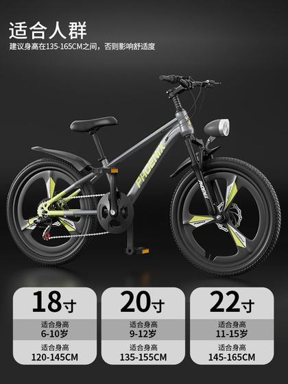 凤凰儿童自行车女孩6-12岁青少年中大童男孩山地变速学生20寸单车