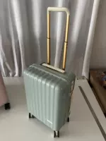 Светло -зеленый ежедневный одиночный дыхательный путь только один