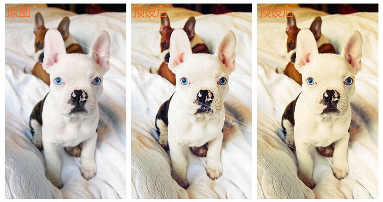 PS/Lr电影胶片小清新复古滤镜调色预设 RNI V4