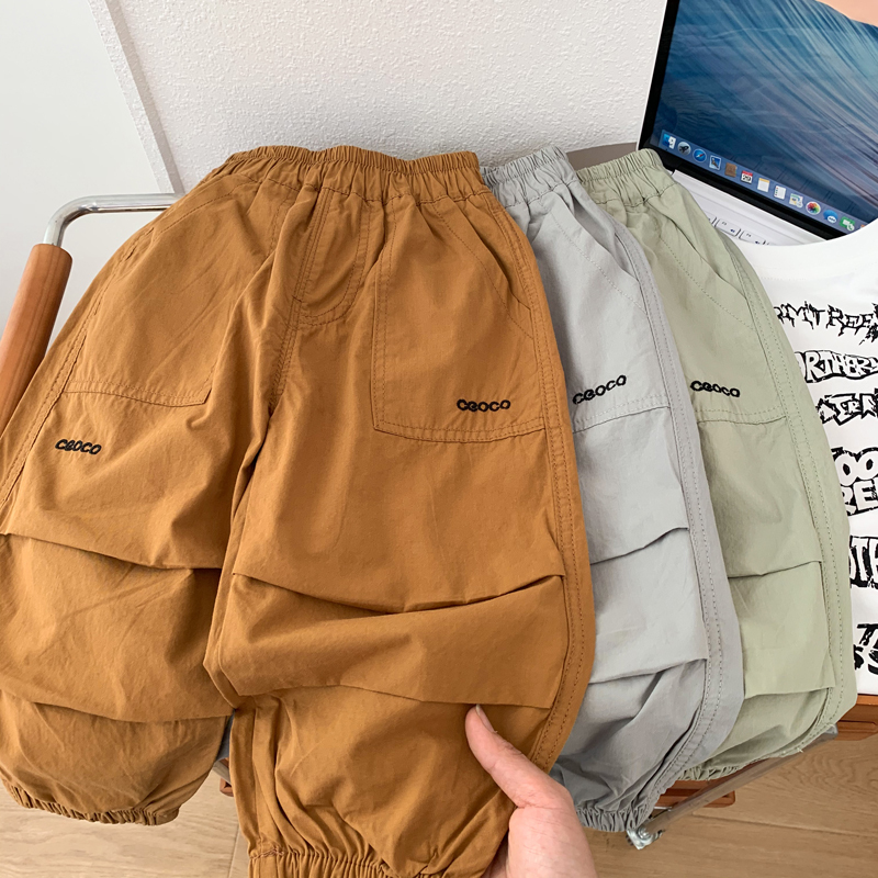 Boys' Summer Anti-Mosquito Pants 2026 New Style Children's Loose Casual Pants Stylish Thin Cargo Pants for Young Children Trendy