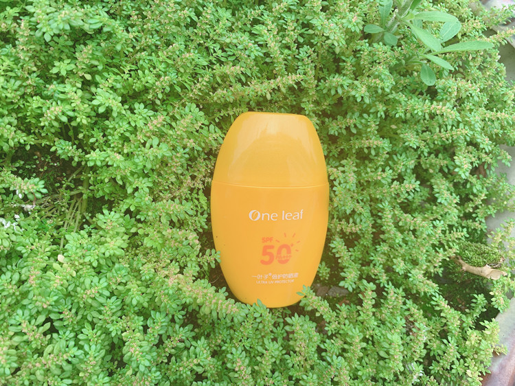 һҶ�ӷ�ɹ�������������첻��ɹ ͼ2