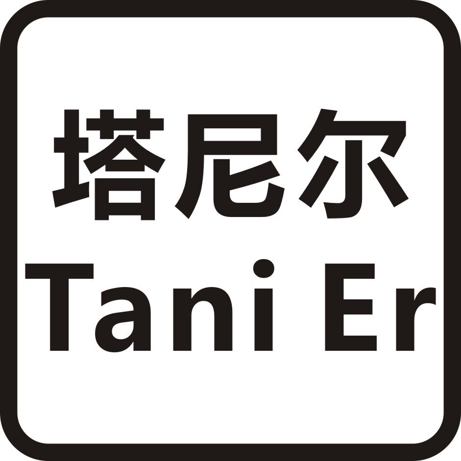 Tani Er 塔尼尔汽车改色