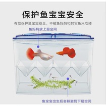 Independent isolation box fish tank hatching box guppy breeding box tropical fish small fish size incubator spawning room