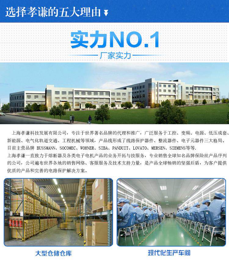 ar设备 热销limitron博斯曼bussmann熔断器jjs-70快速保险丝classt600v70