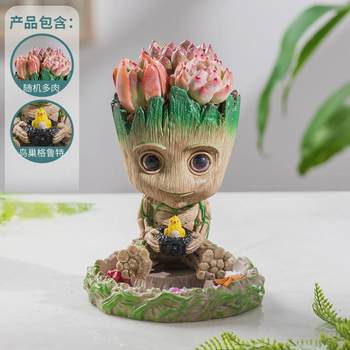 Groot bird nest small flower pot succulent plant cactus live desktop diy ornaments good to maintain office