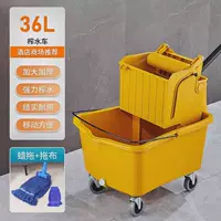 36L Squeezer+Blue Mop+Mop