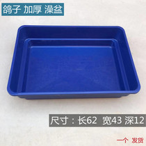 Pigeon pigeons pigeons pigeons bathing basins pigeons pigeons stands