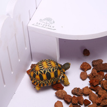 pvc lizard goalkeeper land tortoise climbing spotting box rearing box dodging house pet small coves color optional