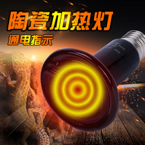 Ceramic lamp heating Land tortoise lizard Lizard Spider reptile pyreds Pet Snake hedgehog rearing box Utortoise heating light