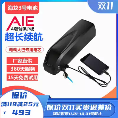 Electric car lithium battery 48v12AH modified electric bicycle export big Hailong 1 type 2 hi m 36 volt battery