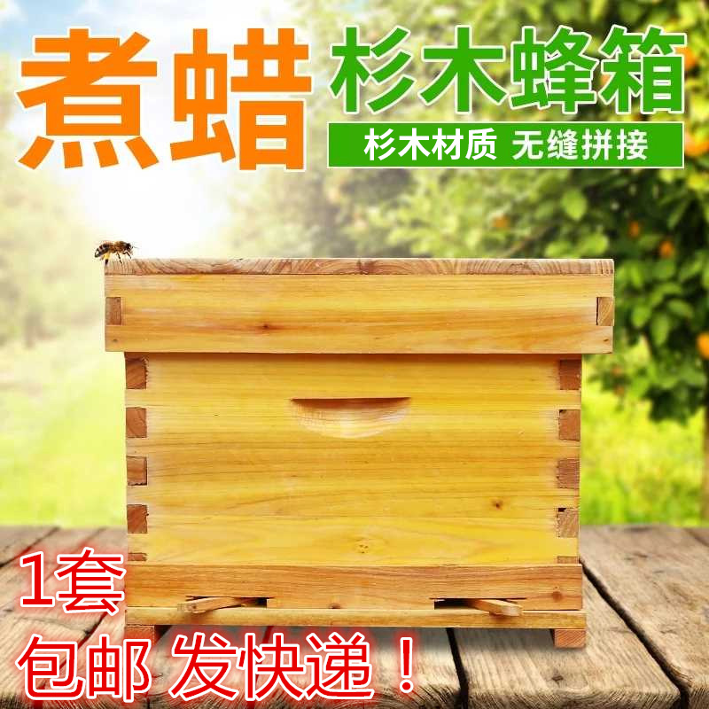 Bee hive standard ten-frame boiled wax fir bee box dipped wax flat box full set of dense beehive beekeeping tools