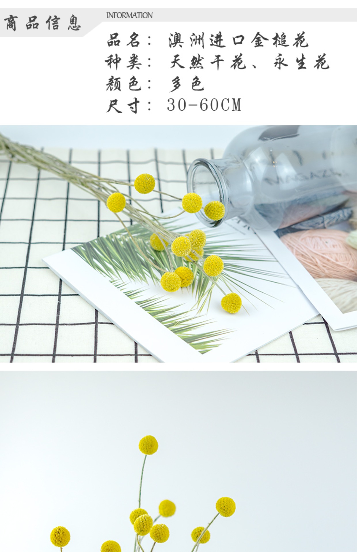 Bóng vàng Calendula hoa khô phòng ngủ trang trí nhà trang trí hoa khô phòng khách bó hoa phong cách Nhật Bản tự làm cắm hoa - Trang trí nội thất phụ kiện trang trí bàn làm việc