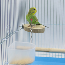 Parrot jumping platform nibbling toy grinding hamster ChinChin squirrel platform station bar bird stick bird platform