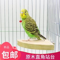 Parrot rest platform solid wood springboard platform bird toy tiger skin peony bird supplies platform platform bird utensils