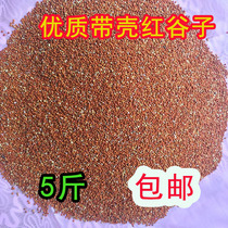  Parrot feed Tiger skin bird food Xuanfeng millet peony millet Wen bird with shell red millet wren bird food 250g