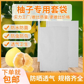 Special Bags for Yuzu, Honeydew Melon, Cantaloupe, Citrus, Large Fruit Bags, Insect-Proof and Bird-Proof Fruit Bagging Tool
