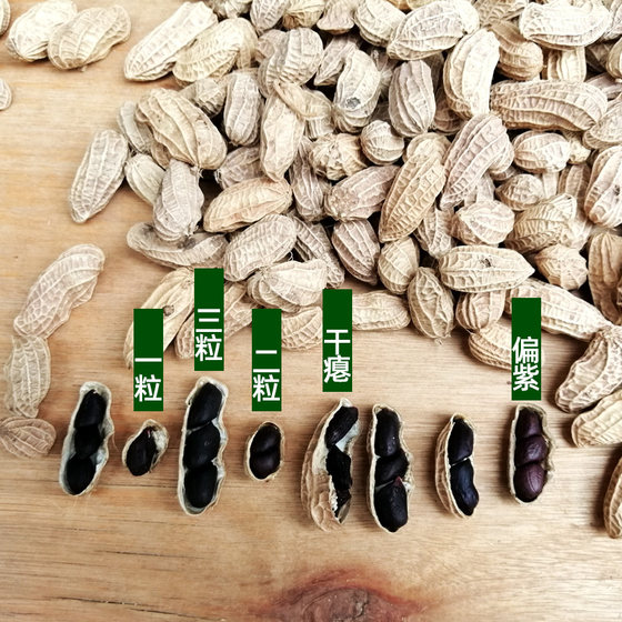 New selenium-rich black peanuts can be eaten raw in shell and can be used as seeds. Yunnan fresh wet and sun-dried sweet and waxy old varieties 1 Jin [Jin equals 0.5 kg]