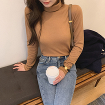 Does The Golden Mushroom Mushroom Fairy base series not enter a pile in winter to save your coat?