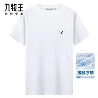 Стандартное издание + White + TT2EV2A110