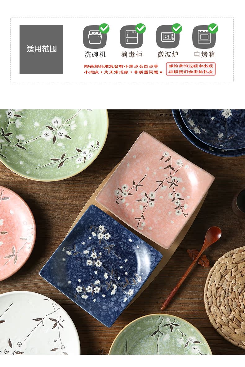 Japanese steak and ceramic plate side of dish dish to eat all the fruit salad platter home plate tableware