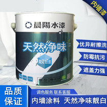 Chenyang water paint natural net taste beautiful white interior wall water paint non-latex paint