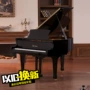 [Nhạc cụ] Đàn piano Pearl River Delois D150 gỗ nguyên khối cao cấp biểu diễn grand piano đích thực yamaha clp 535