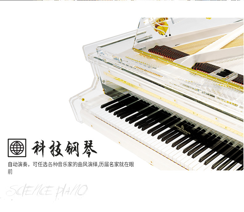 [Nhạc cụ busk pha lê grand piano roland rp102
