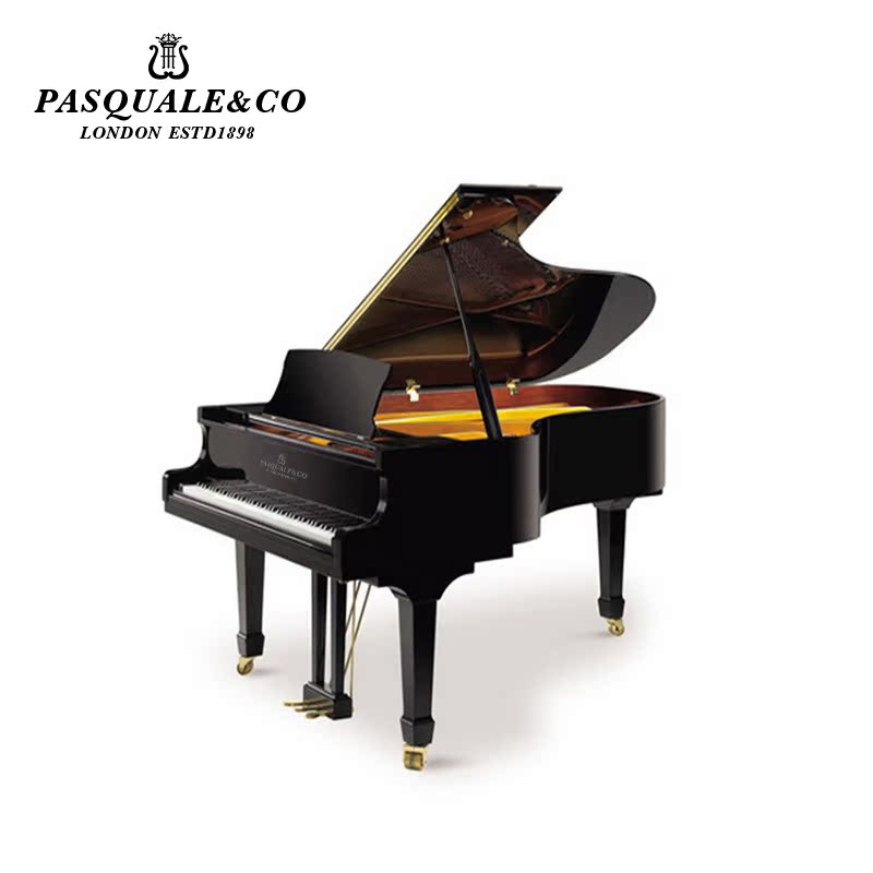 PASQUALE & CO / Bark Grand Piano GP148 Grand piano hiệu suất cao casio px s3000