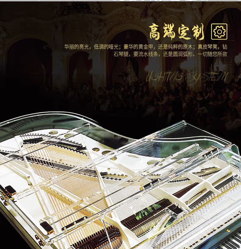 [Nhạc cụ busk pha lê grand piano roland rp102