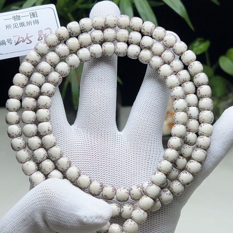 Z25 Unique Item with Individual Photo, White Bone China with a Soft Ice-Like Texture, Granny Gray, River Dolphin Design, 8×7, Large Blank Space, Star and Moon Bodhi 108 Bead Bracelet