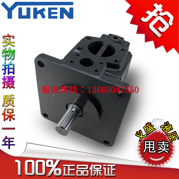 Electric YUKEN vane pump PV2R24-26 33 41 47 53 59 65 75 75 184-F-REAA-41