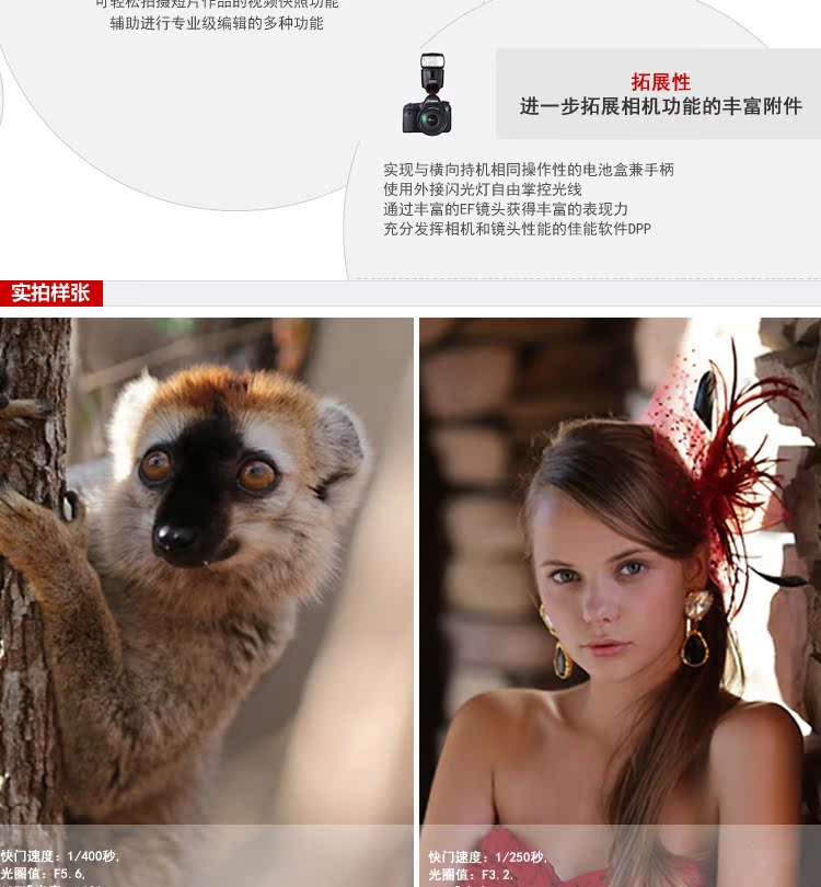 Máy ảnh DSLR ống kính Canon Canon EOS 6D (24-70, 24-105mm) - SLR kỹ thuật số chuyên nghiệp máy ảnh kỹ thuật số