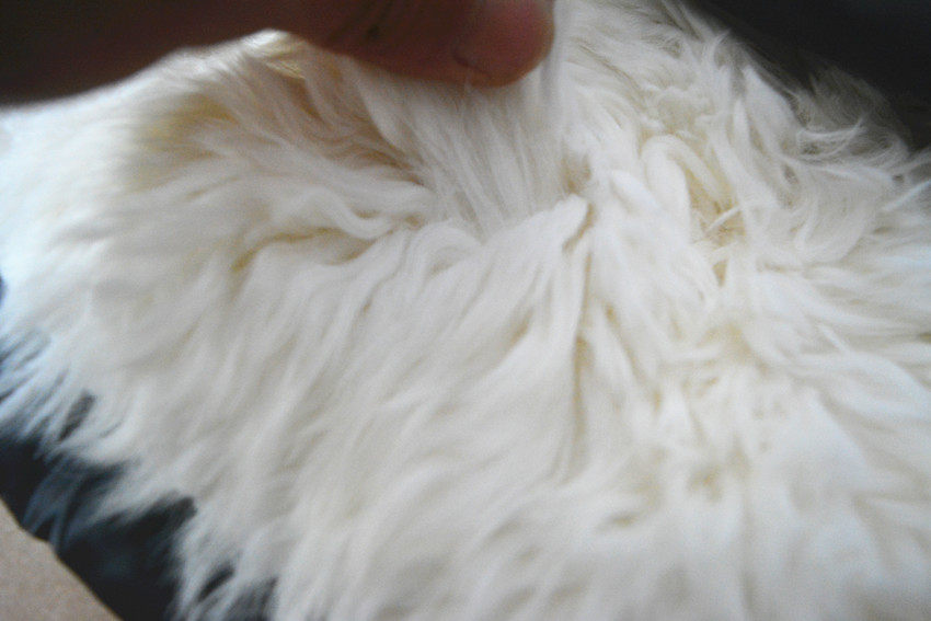 Gilet sans manche sport - Ref 542241 Image 46