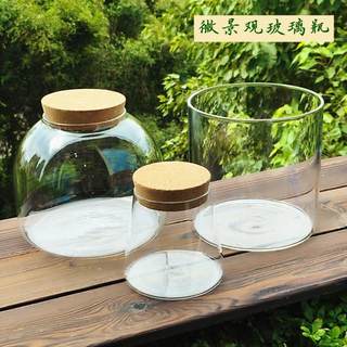 Moss micro landscape glass bottle eco bottle