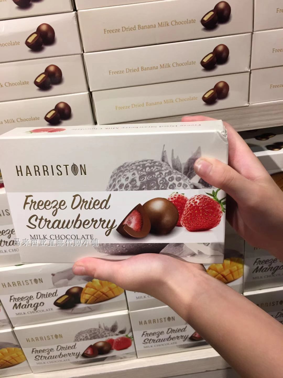 Malaysia Direct Mail HARRISTON Fruit Milk Chocolate 3 flavors 100 gr * 4 boxes