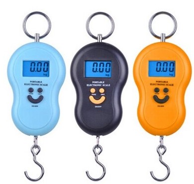 Portable electronic scale small express delivery man scale portable hook spring hanging scale high-precision buy vegetable kitchen home