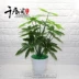 Mô phỏng hoa giả, cây xanh, trang trí nội thất, sàn nhựa xanh lá cây cảnh anthurium bonsai phòng khách lớn - Hoa nhân tạo / Cây / Trái cây