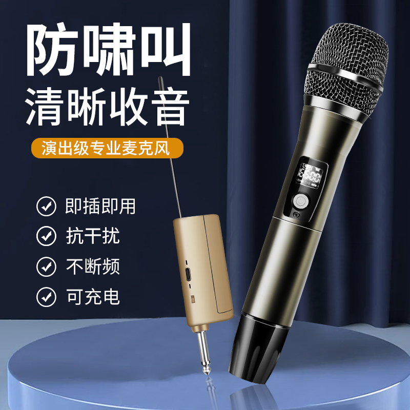 Wireless Microphone Universal U-Band One-To-Two Ktv Microphone for Tv Karaoke, Bus Singing with Karaoke Machine, Fensheng
