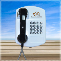 Free customized school LOGO public telephones for primary and secondary school campuses metal wall-mounted installation