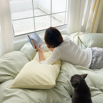 ins little fresher -- a pair of pillowcases pure cotton full cotton grinding pillowcase 48x74cm pillow core cover pure color