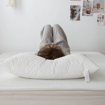 Japanese customers Order Pine Soft Medium-high Pillow Core Day Style Hotel Single Pillow Plume Pillow 48x74cm