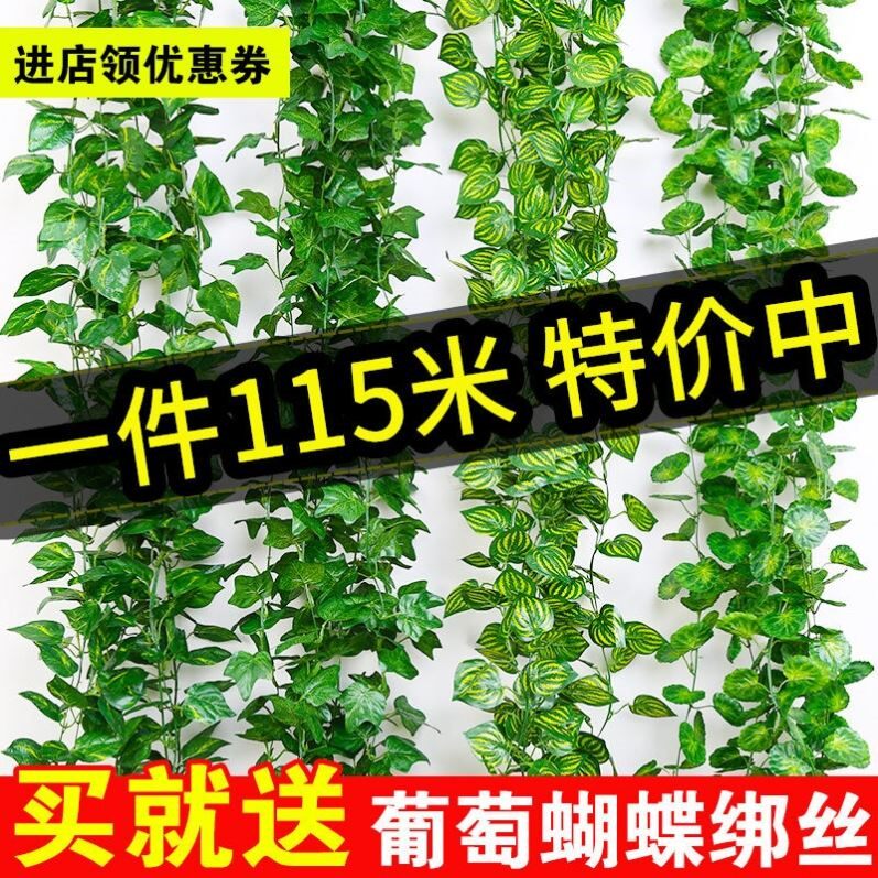 Wall decoration green plant simulation grape leaf creeper plant rattan golden kudzu vine decoration pipe suspended ceiling green leaf