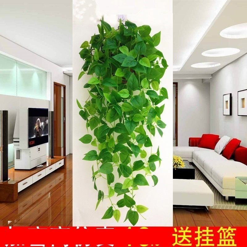 Bedroom wall ornaments simulation Golden kudzu plant wall rattan leaf plastic indoor hanging basket Wall Flower