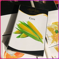 Цвет кукуруза шампанского