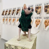 Безволосая одежда для кошек Свинкс немцы осень и зимняя согревая Quan Zhilong и ту же самую пару меха тирана