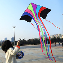 Kite adult Special girl large high-grade breeze easy fly super big adult 202021 new style Net Red