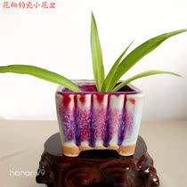Yuzhou Jun porcelain inner and outer glaze Calamus pot Succulents bonsai pot square flower pot Hydroponic micro-view pot flower device